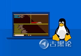 我认为阻碍桌面Linux发展的原因 linux.jpg